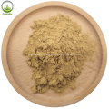 maca root extract powder / Maca Extract/maca powder